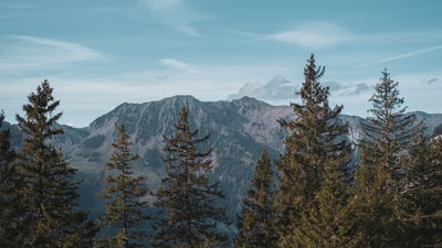 绿树冰雪覆盖附近山区白天

